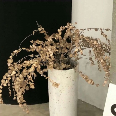 兽设火山场景创作兽圈群